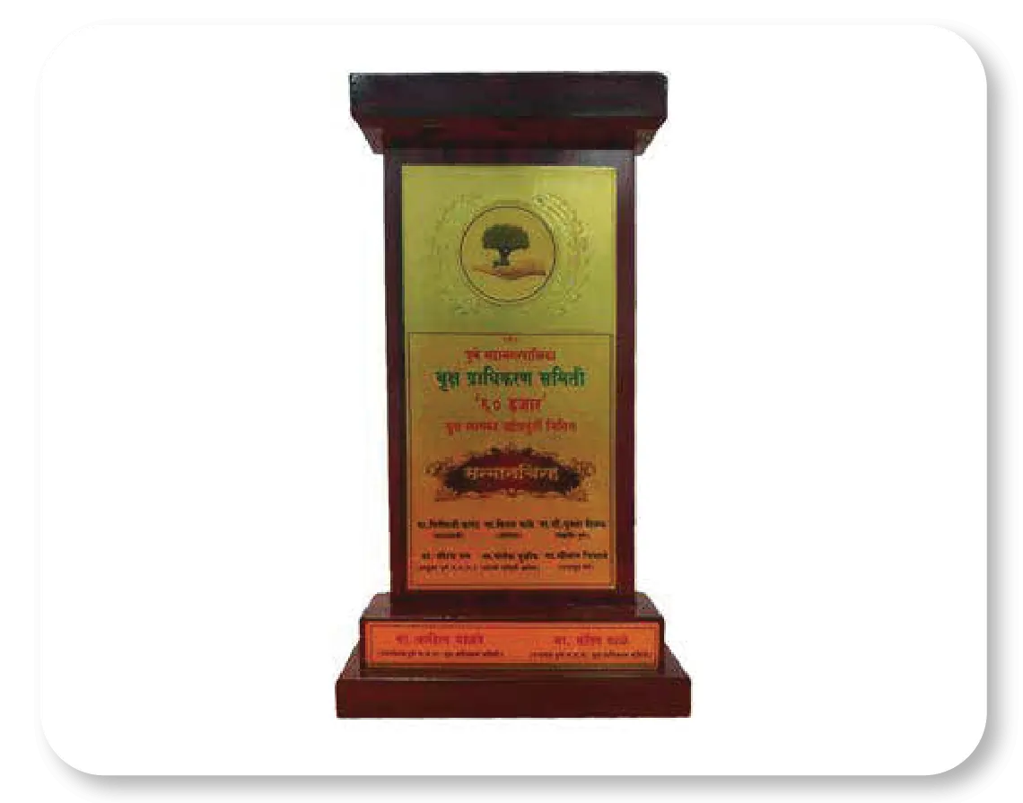 Best Social Service Award plaque (Marathi text)